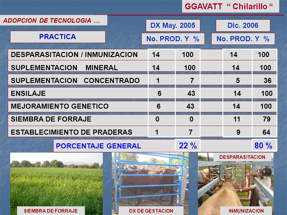 GGAVATT Chilarillo DX May Dic PRACTICA No. PROD. Y %
