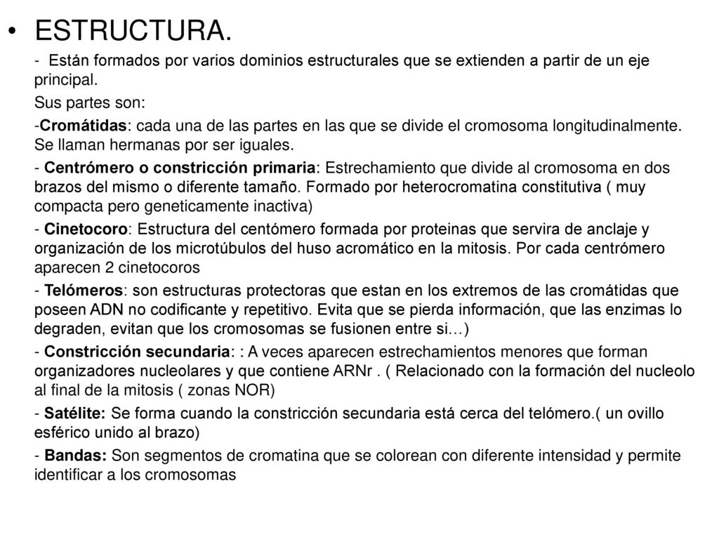 ESTRUCTURA. - Están formados por varios dominios estructurales que se extienden a partir de un eje principal.