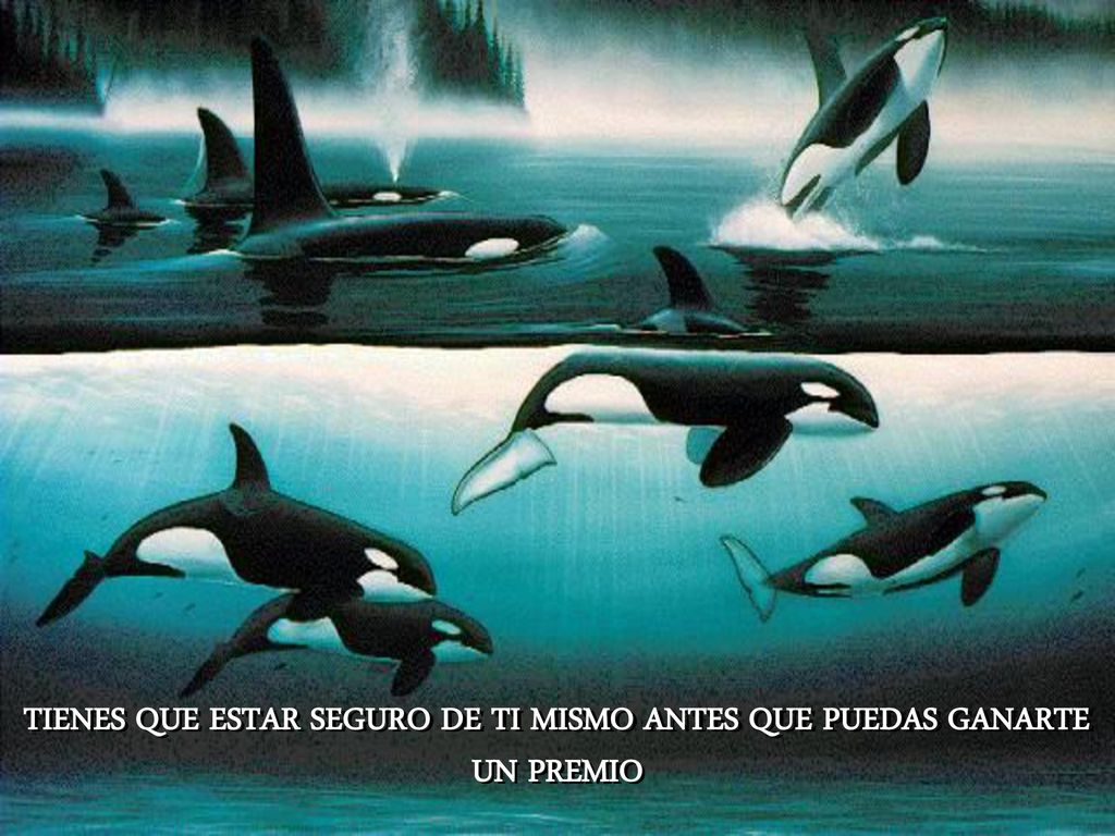 TIENES QUE ESTAR SEGURO DE TI MISMO ANTES QUE PUEDAS GANARTE UN PREMIO