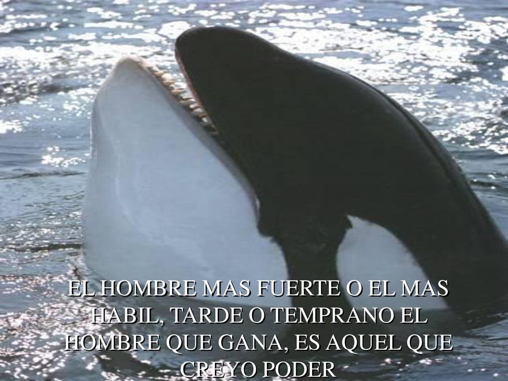 EL HOMBRE MAS FUERTE O EL MAS HABIL, TARDE O TEMPRANO EL HOMBRE QUE GANA, ES AQUEL QUE CREYO PODER