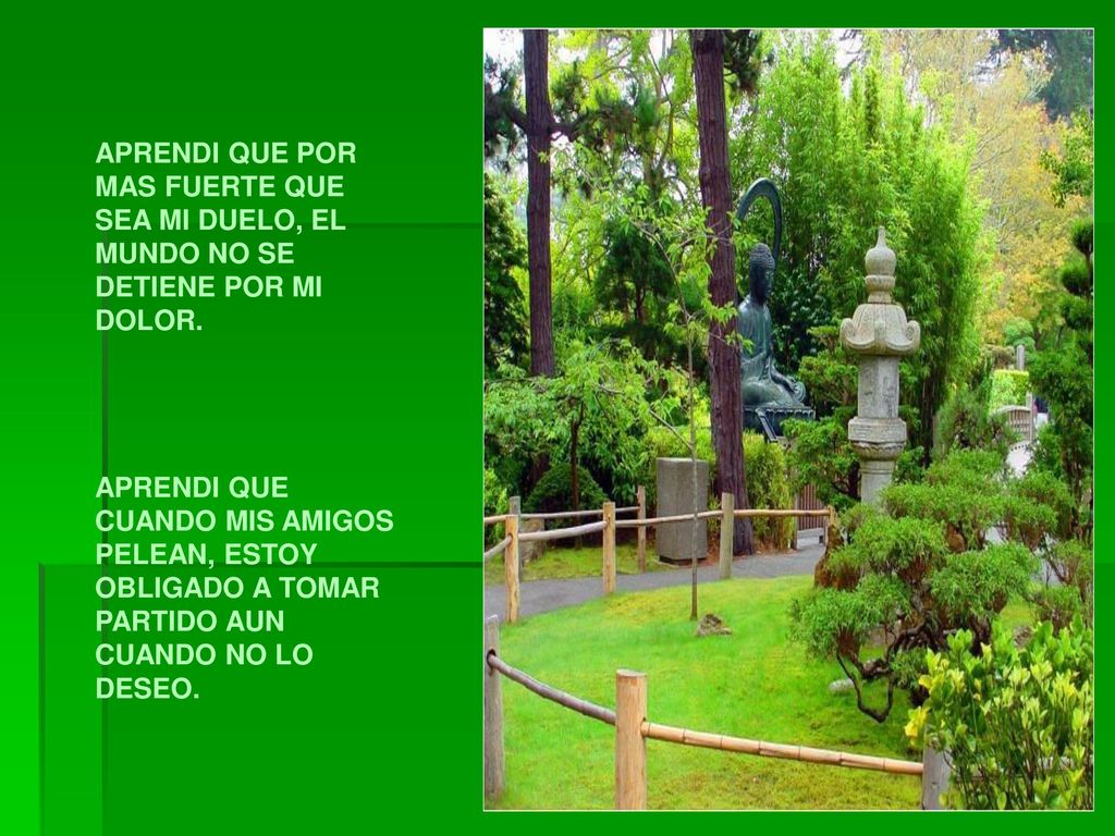 APRENDI QUE POR MAS FUERTE QUE SEA MI DUELO, EL MUNDO NO SE DETIENE POR MI DOLOR.