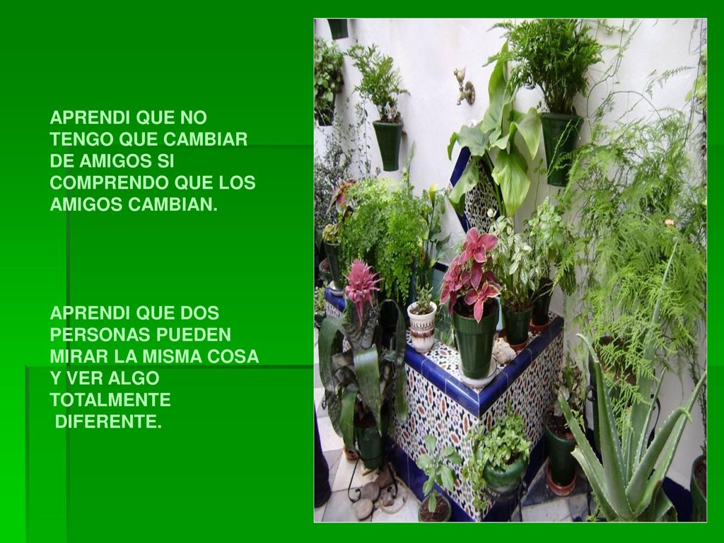 APRENDI QUE NO TENGO QUE CAMBIAR DE AMIGOS SI COMPRENDO QUE LOS AMIGOS CAMBIAN.