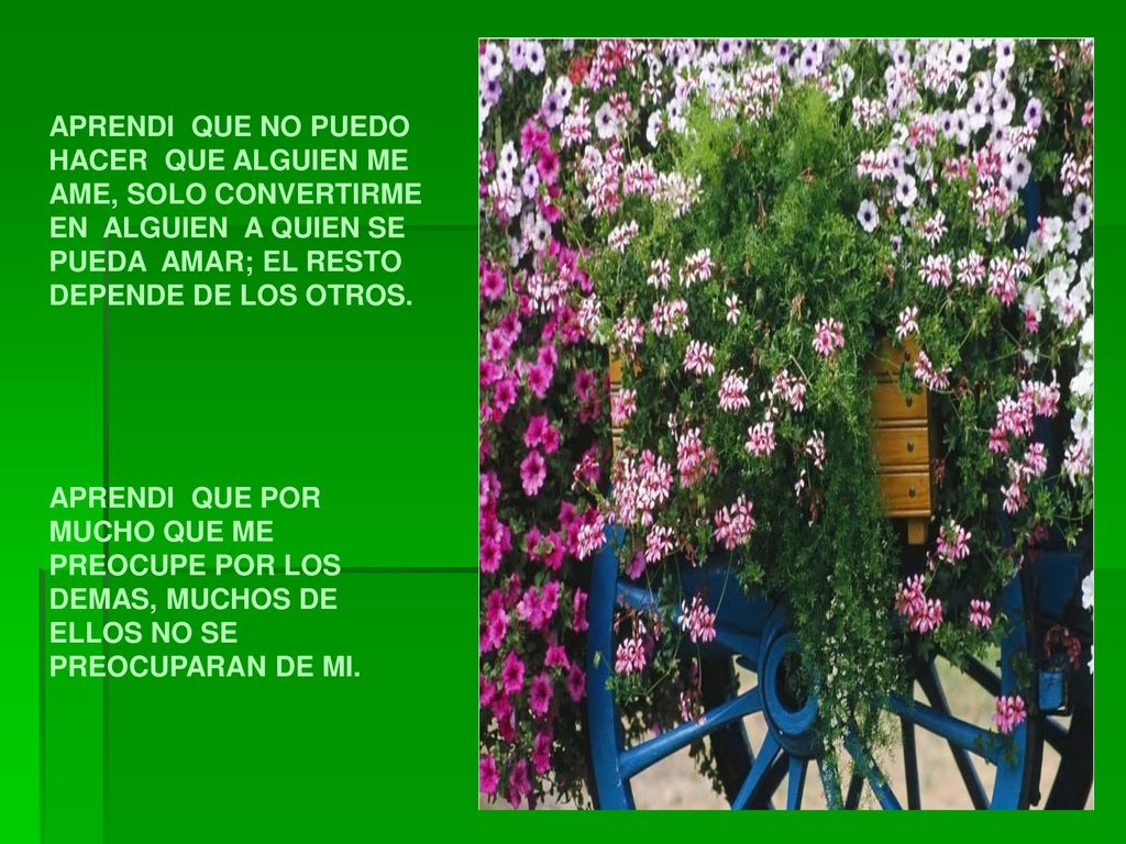 APRENDI QUE NO PUEDO HACER QUE ALGUIEN ME AME, SOLO CONVERTIRME EN ALGUIEN A QUIEN SE PUEDA AMAR; EL RESTO DEPENDE DE LOS OTROS.