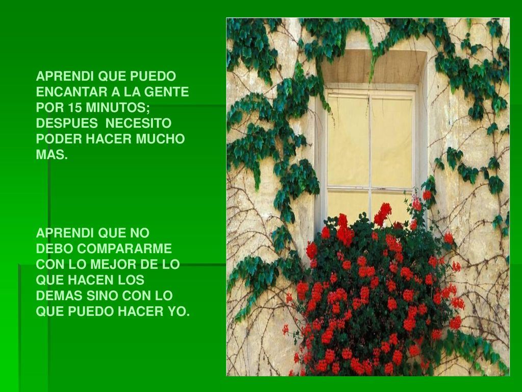 APRENDI QUE PUEDO ENCANTAR A LA GENTE POR 15 MINUTOS; DESPUES NECESITO PODER HACER MUCHO MAS.