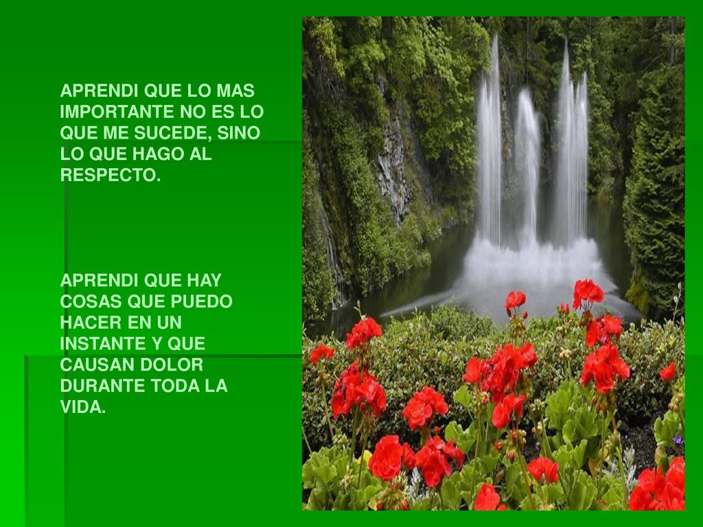 APRENDI QUE LO MAS IMPORTANTE NO ES LO QUE ME SUCEDE, SINO LO QUE HAGO AL RESPECTO.
