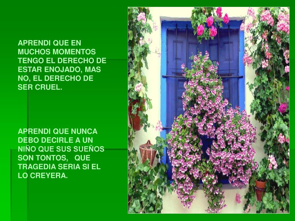 APRENDI QUE EN MUCHOS MOMENTOS TENGO EL DERECHO DE ESTAR ENOJADO, MAS NO, EL DERECHO DE SER CRUEL.