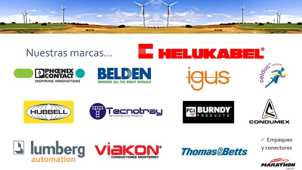 Nuestras marcas… Empaques y conectores