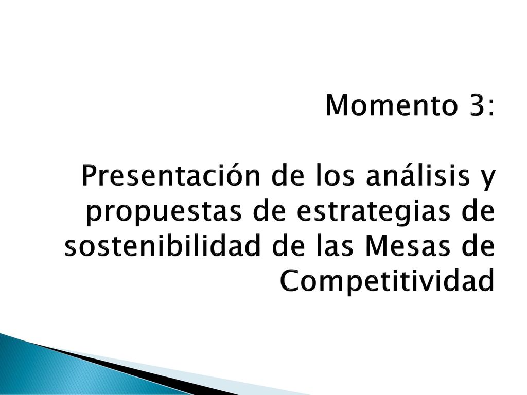 Momento 3: Presentación de los análisis y propuestas de estrategias de sostenibilidad de las Mesas de Competitividad