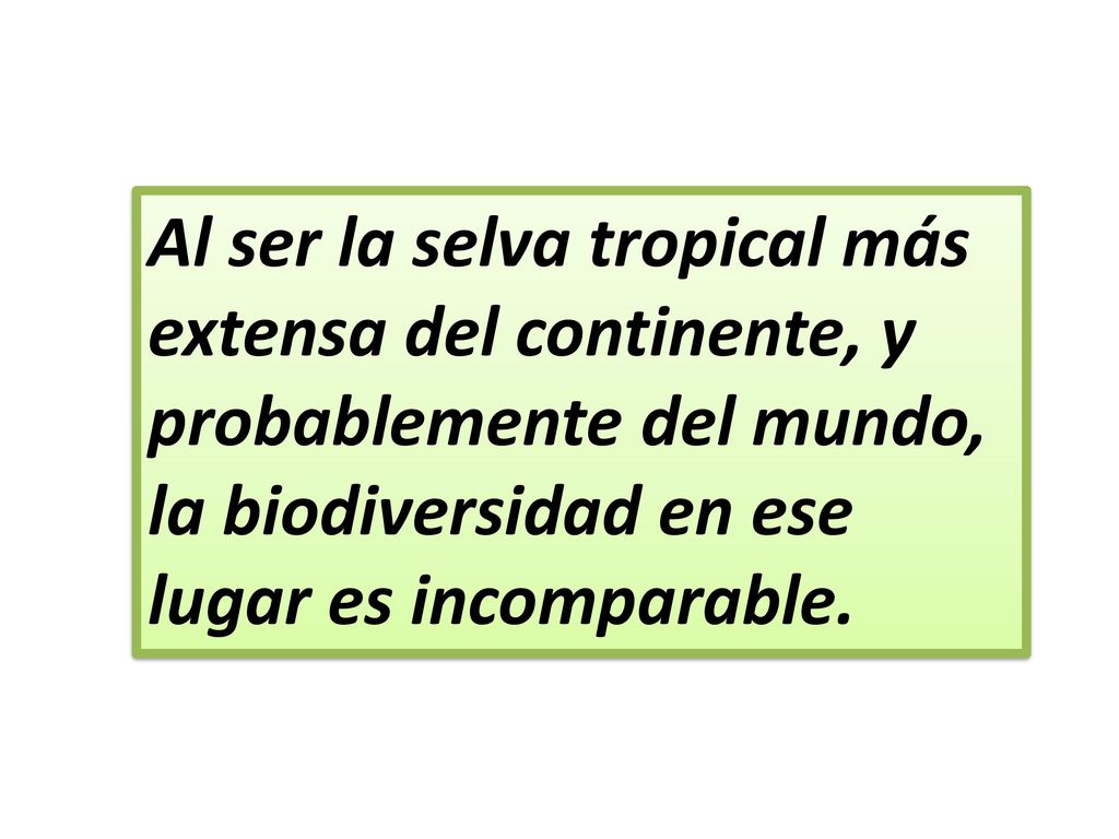Al ser la selva tropical más extensa del continente, y probablemente del mundo, la biodiversidad en ese lugar es incomparable.
