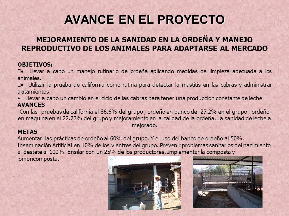 AVANCE EN EL PROYECTO MEJORAMIENTO DE LA SANIDAD EN LA ORDEÑA Y MANEJO REPRODUCTIVO DE LOS ANIMALES PARA ADAPTARSE AL MERCADO.