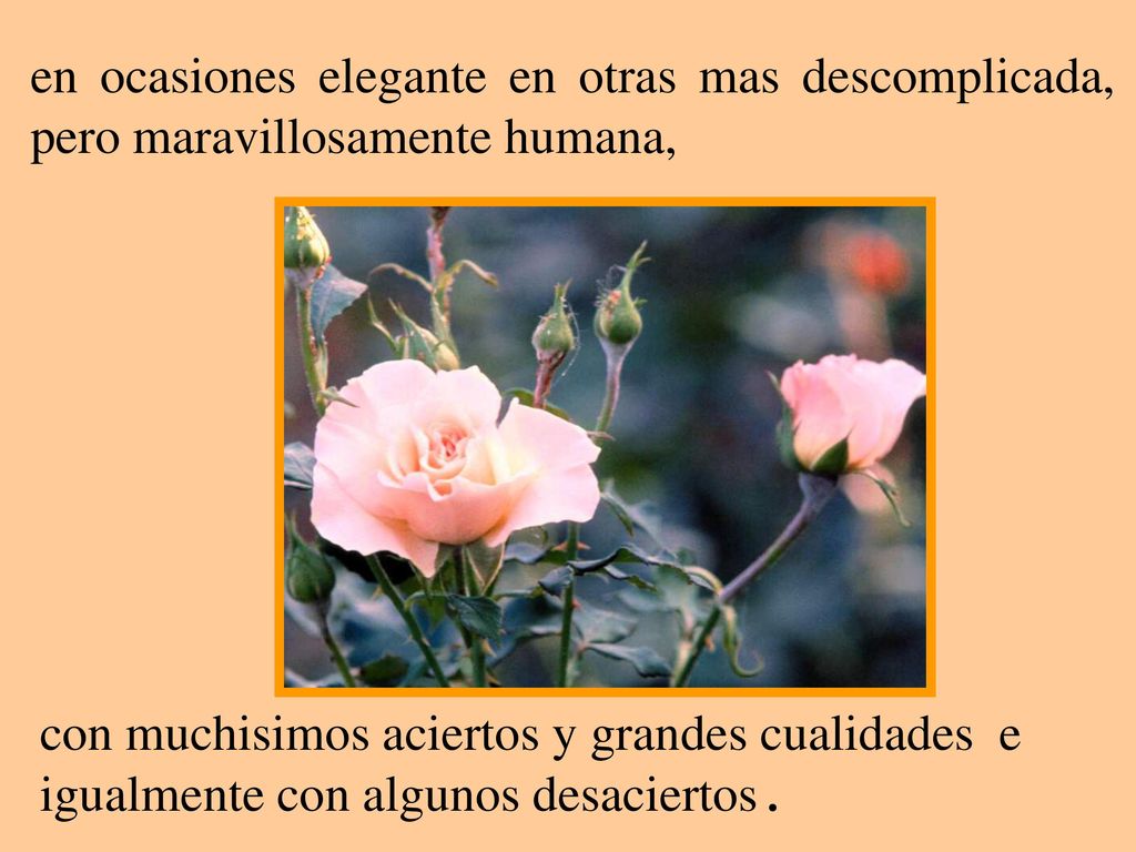 en ocasiones elegante en otras mas descomplicada, pero maravillosamente humana,