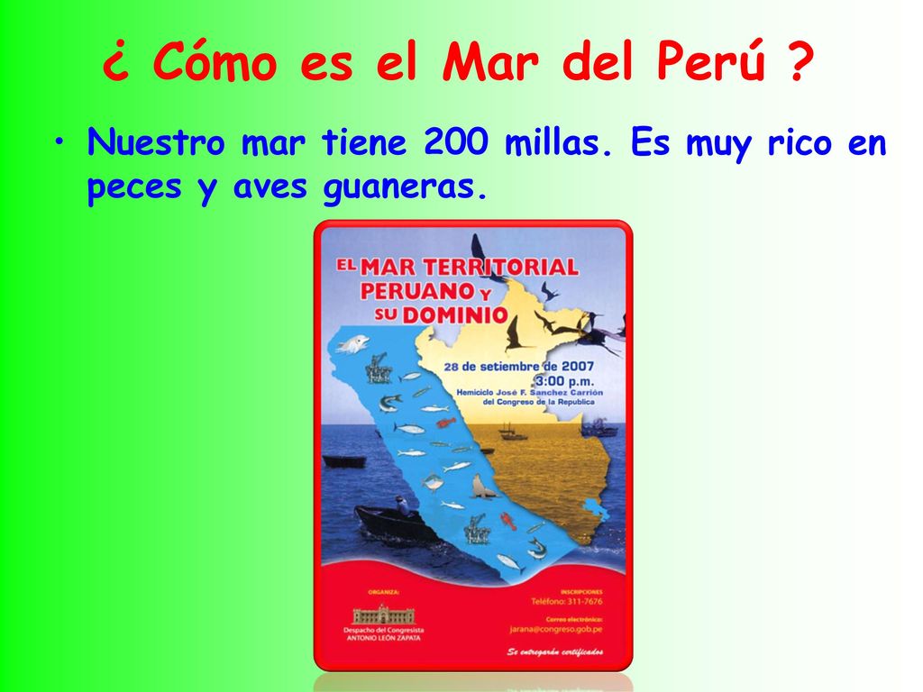 ¿ Cómo es el Mar del Perú Nuestro mar tiene 200 millas. Es muy rico en peces y aves guaneras.