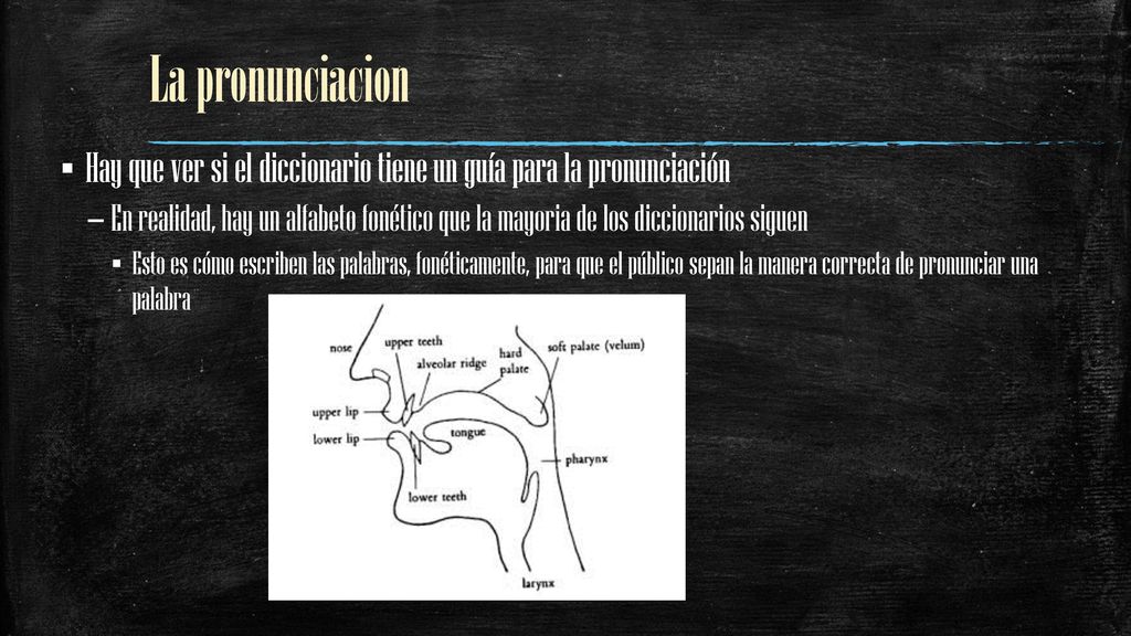 La pronunciacion Hay que ver si el diccionario tiene un guía para la pronunciación.