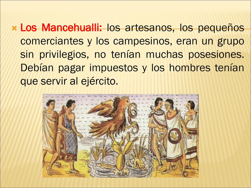 Los Mancehualli: los artesanos, los pequeños comerciantes y los campesinos, eran un grupo sin privilegios, no tenían muchas posesiones.