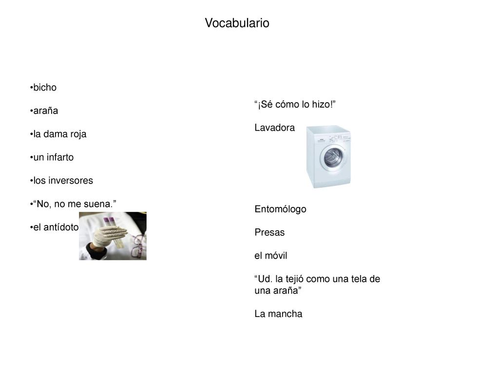 Vocabulario bicho araña ¡Sé cómo lo hizo! la dama roja Lavadora
