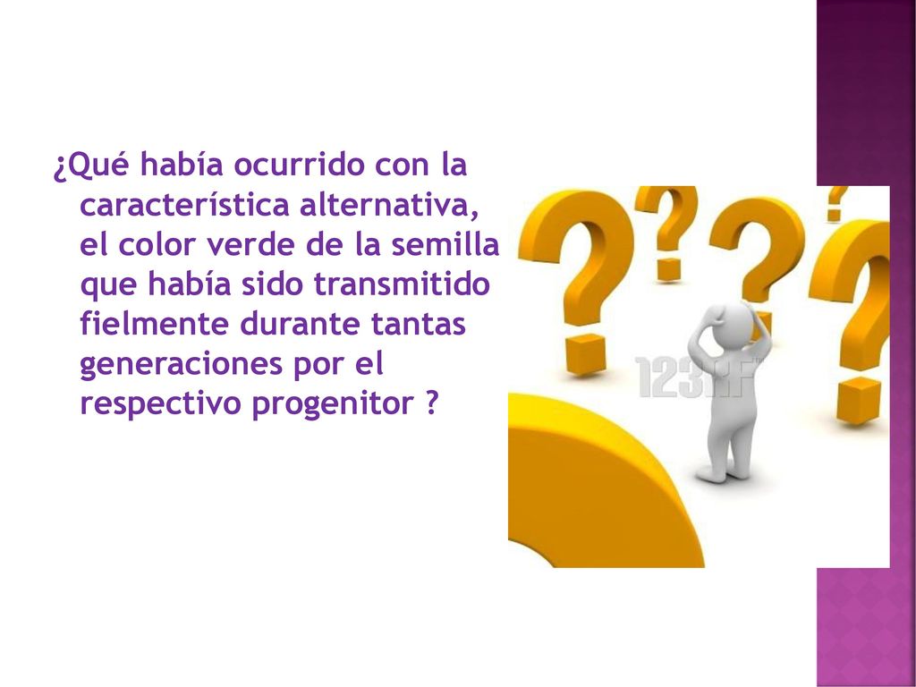 ¿Qué había ocurrido con la característica alternativa, el color verde de la semilla que había sido transmitido fielmente durante tantas generaciones por el respectivo progenitor