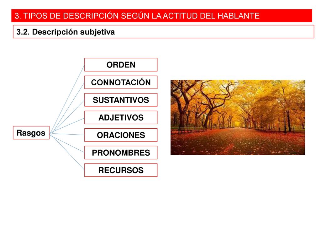 3. TIPOS DE DESCRIPCIÓN SEGÚN LA ACTITUD DEL HABLANTE