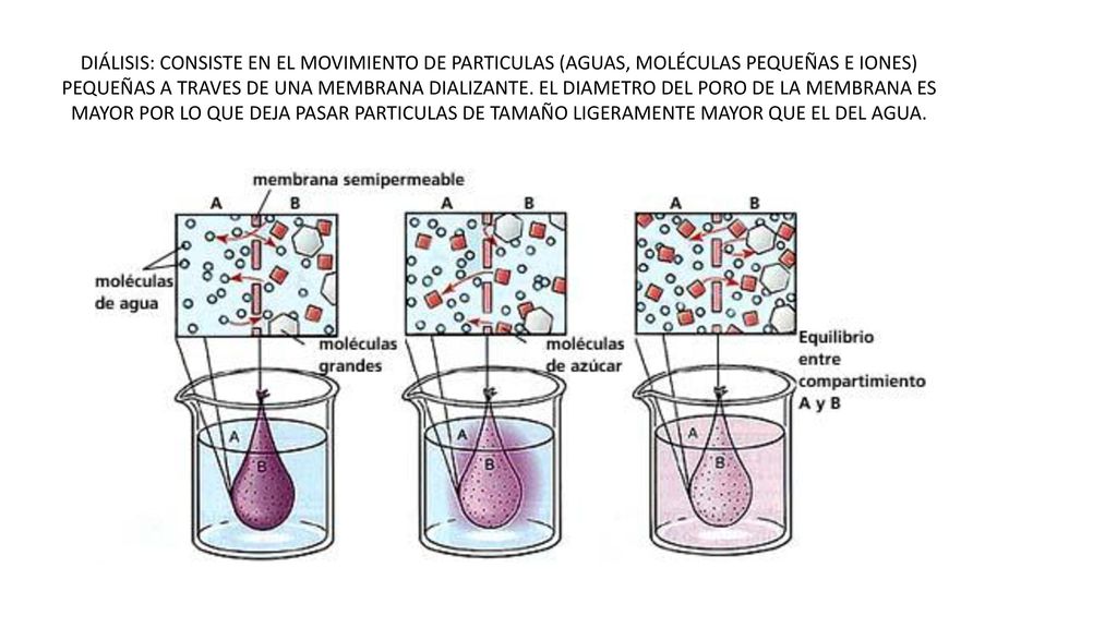 DIÁLISIS: CONSISTE EN EL MOVIMIENTO DE PARTICULAS (AGUAS, MOLÉCULAS PEQUEÑAS E IONES) PEQUEÑAS A TRAVES DE UNA MEMBRANA DIALIZANTE.