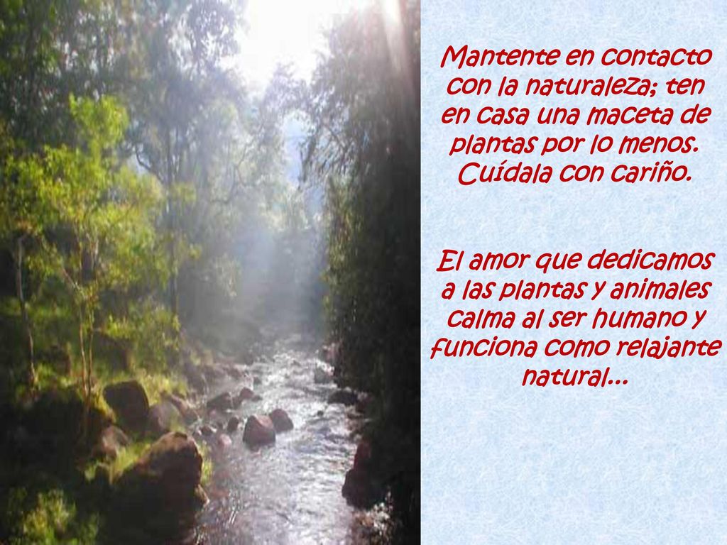 Mantente en contacto con la naturaleza; ten en casa una maceta de plantas por lo menos. Cuídala con cariño.
