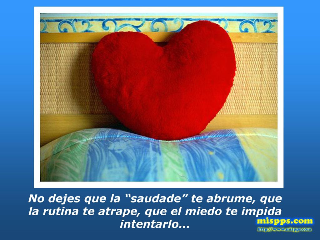 No dejes que la saudade te abrume, que la rutina te atrape, que el miedo te impida intentarlo...
