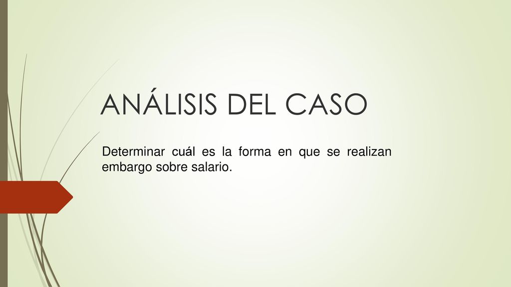 ANÁLISIS DEL CASO Determinar cuál es la forma en que se realizan embargo sobre salario.