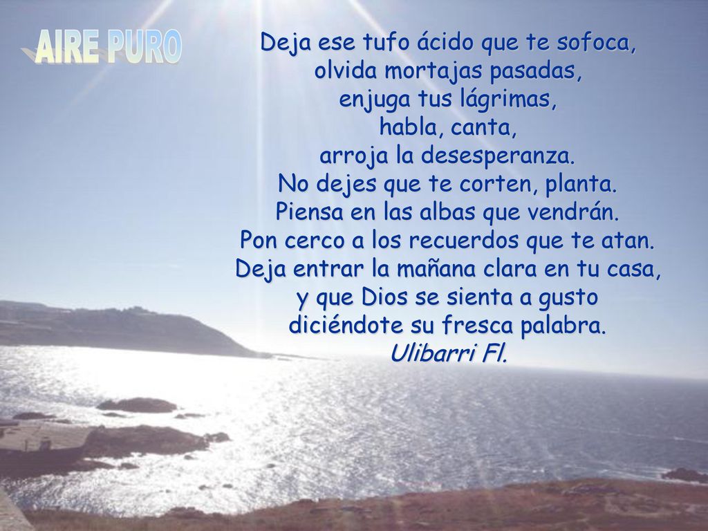 Deja ese tufo ácido que te sofoca, olvida mortajas pasadas, enjuga tus lágrimas, habla, canta, arroja la desesperanza. No dejes que te corten, planta. Piensa en las albas que vendrán. Pon cerco a los recuerdos que te atan. Deja entrar la mañana clara en tu casa, y que Dios se sienta a gusto diciéndote su fresca palabra. Ulibarri Fl.
