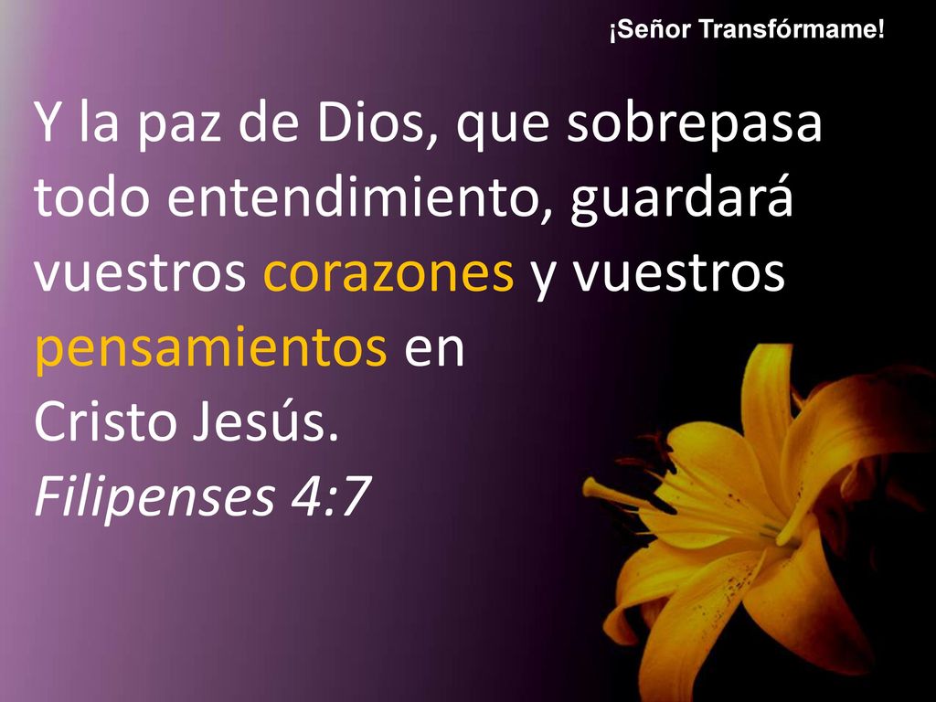 ¡Señor Transfórmame! Y la paz de Dios, que sobrepasa todo entendimiento, guardará vuestros corazones y vuestros pensamientos en.
