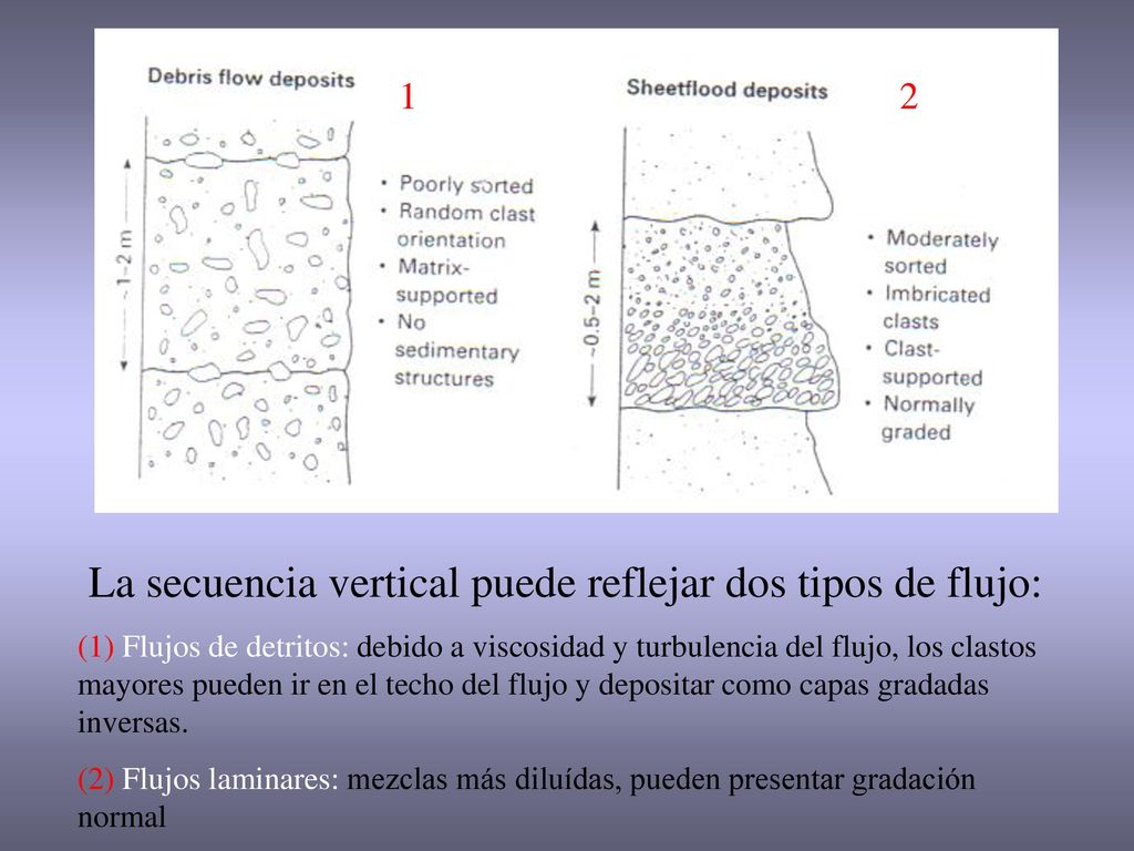 La secuencia vertical puede reflejar dos tipos de flujo: