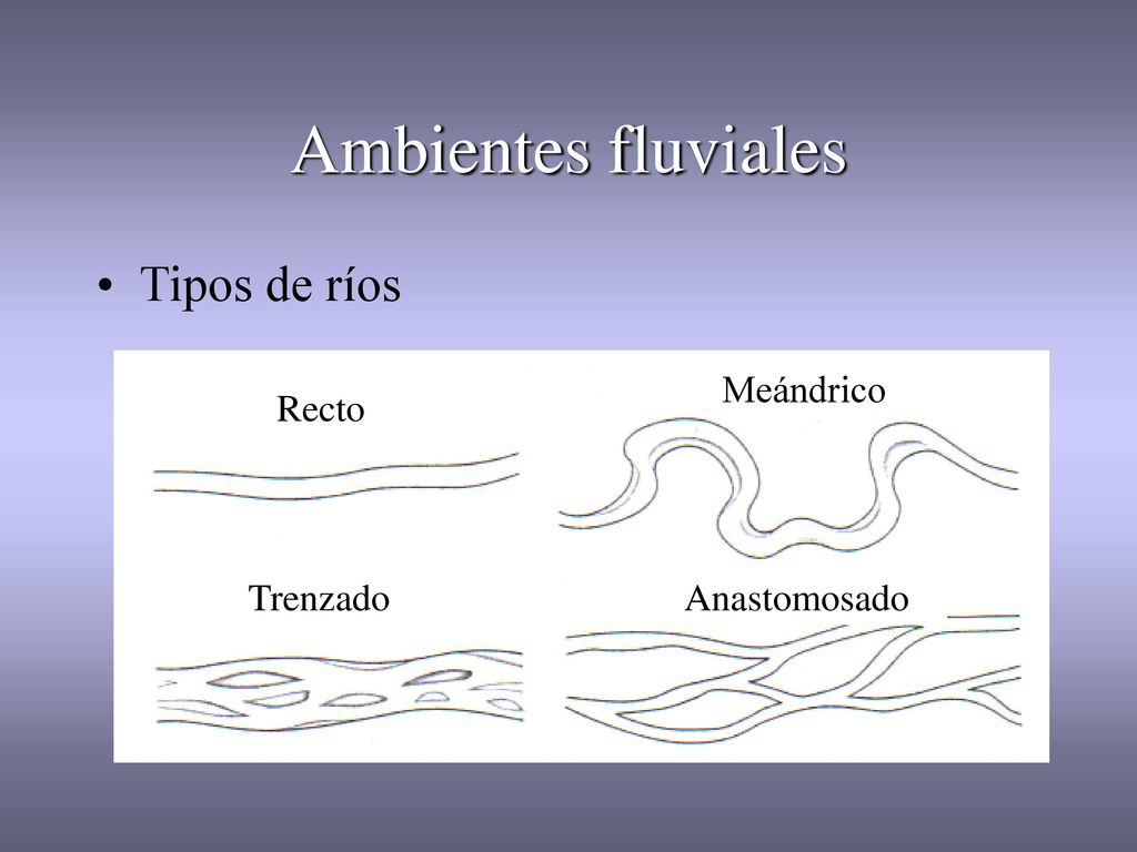 Ambientes fluviales Tipos de ríos Meándrico Recto Trenzado