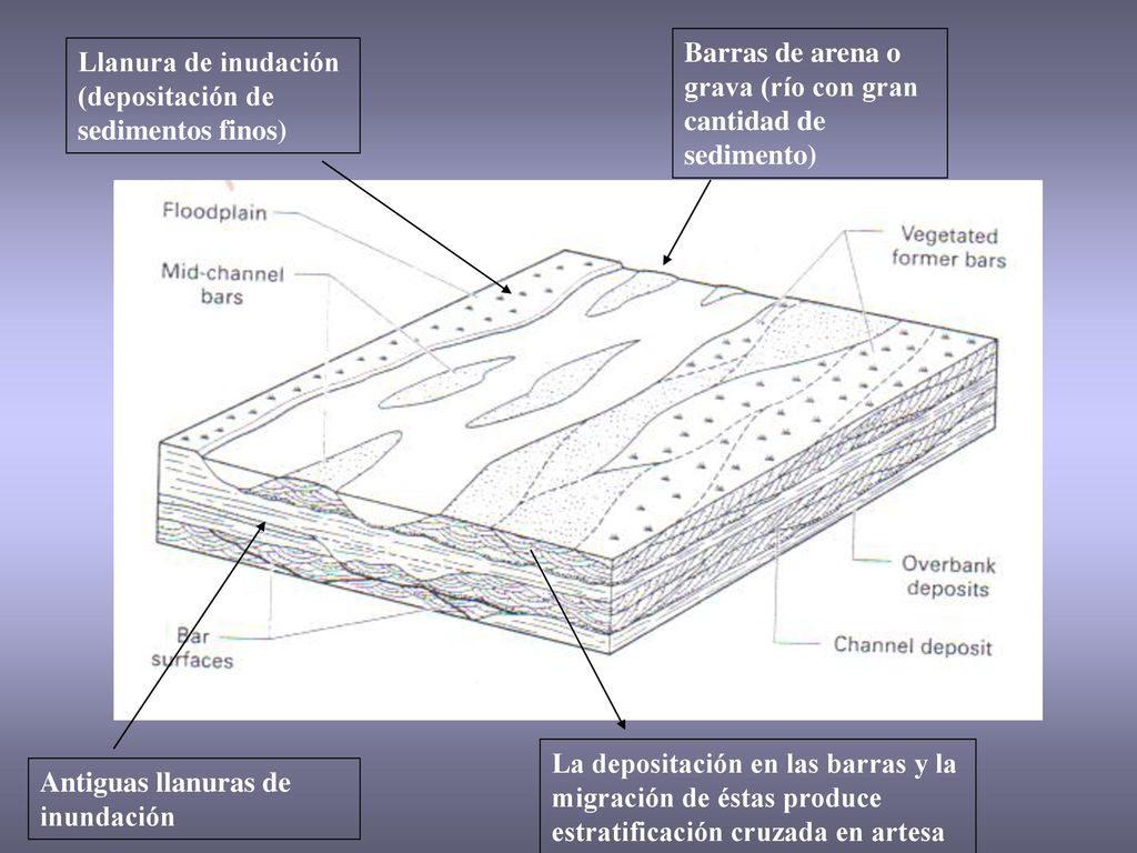 Barras de arena o grava (río con gran cantidad de sedimento)
