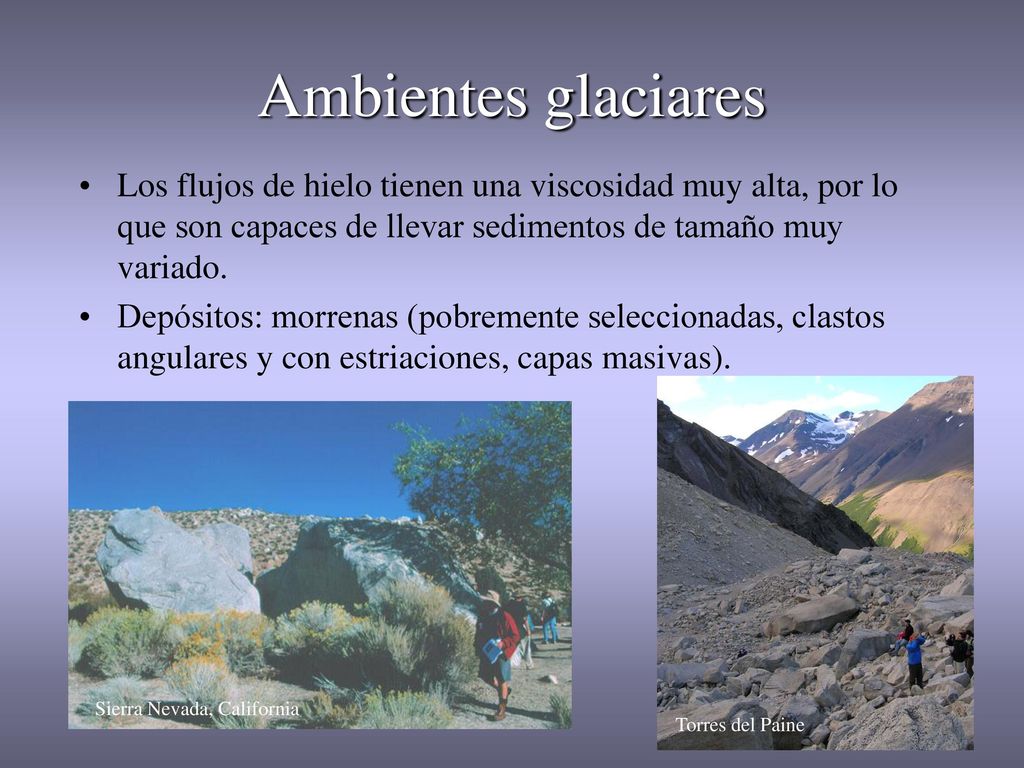 Ambientes glaciares Los flujos de hielo tienen una viscosidad muy alta, por lo que son capaces de llevar sedimentos de tamaño muy variado.