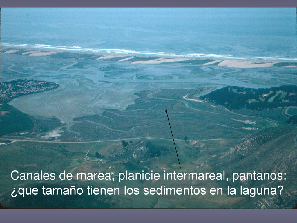 Canales de marea, planicie intermareal, pantanos: ¿que tamaño tienen los sedimentos en la laguna