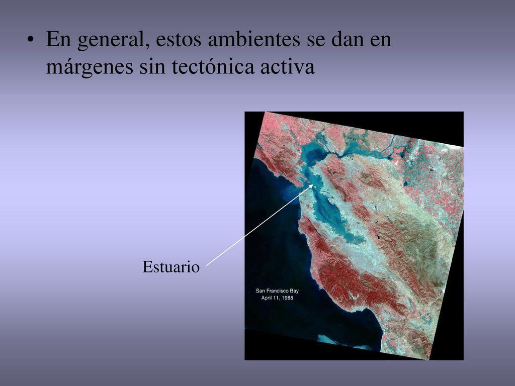 En general, estos ambientes se dan en márgenes sin tectónica activa