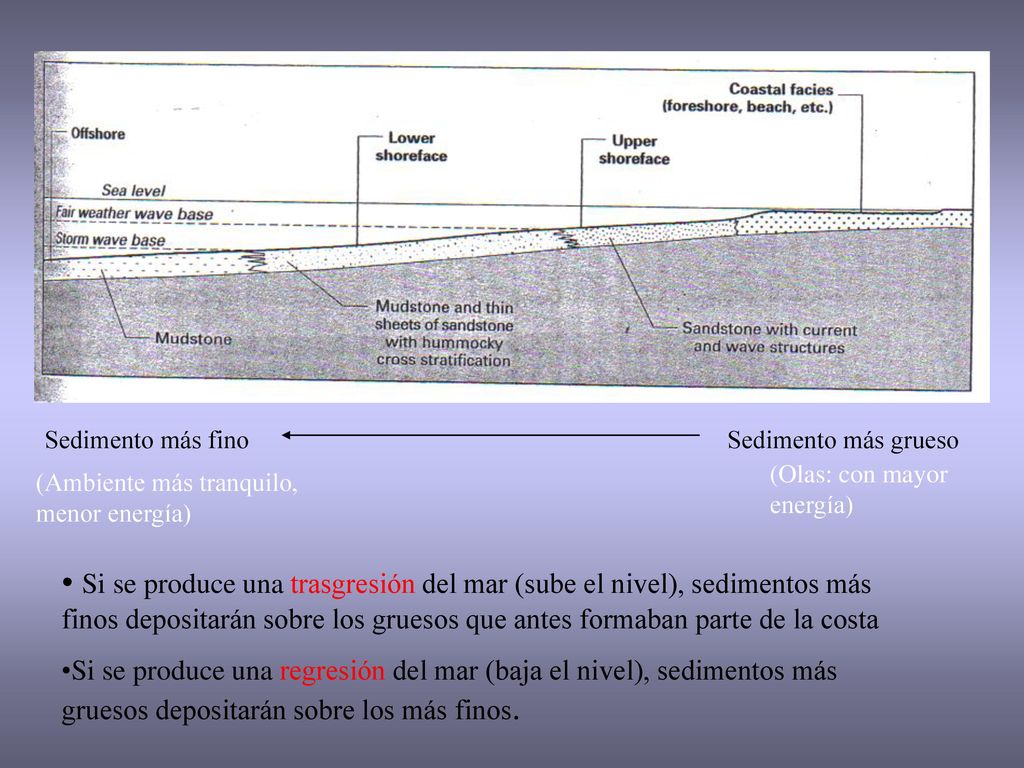 Sedimento más fino Sedimento más grueso. (Olas: con mayor energía) (Ambiente más tranquilo, menor energía)