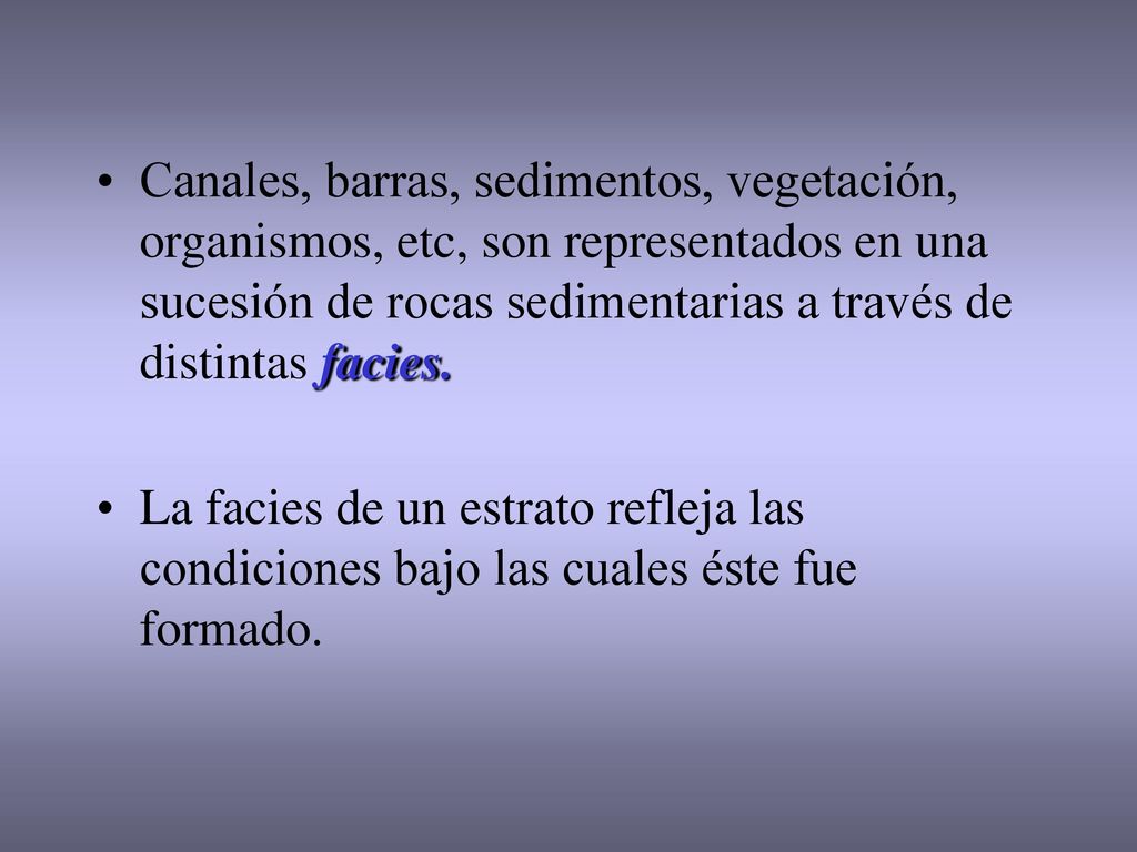 Canales, barras, sedimentos, vegetación, organismos, etc, son representados en una sucesión de rocas sedimentarias a través de distintas facies.