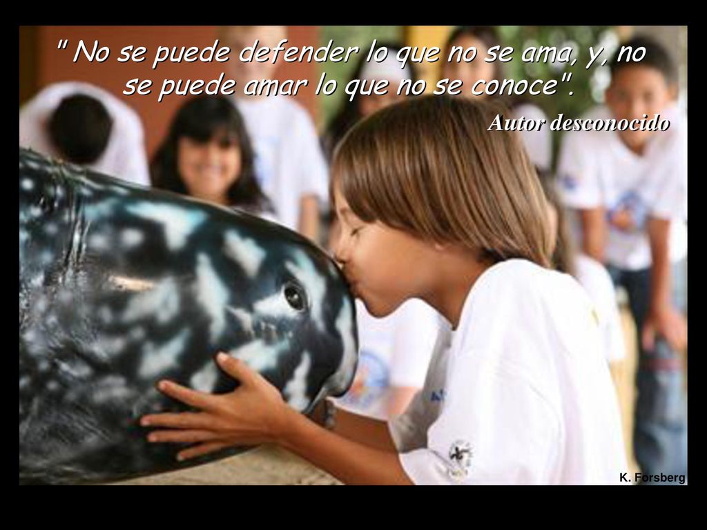 No se puede defender lo que no se ama, y, no se puede amar lo que no se conoce .