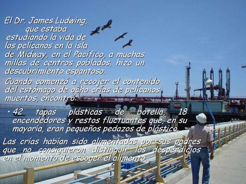 El Dr. James Ludwing, que estaba estudiando la vida de los pelícanos en la isla