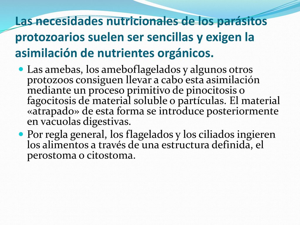 Las necesidades nutricionales de los parásitos protozoarios suelen ser sencillas y exigen la asimilación de nutrientes orgánicos.