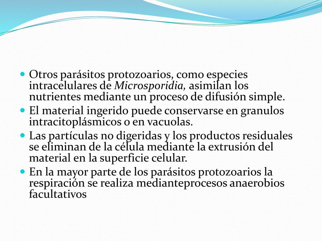 Otros parásitos protozoarios, como especies intracelulares de Microsporidia, asimilan los nutrientes mediante un proceso de difusión simple.