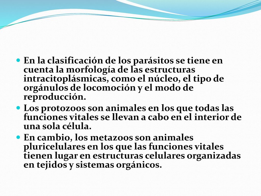 En la clasificación de los parásitos se tiene en cuenta la morfología de las estructuras intracitoplásmicas, como el núcleo, el tipo de orgánulos de locomoción y el modo de reproducción.