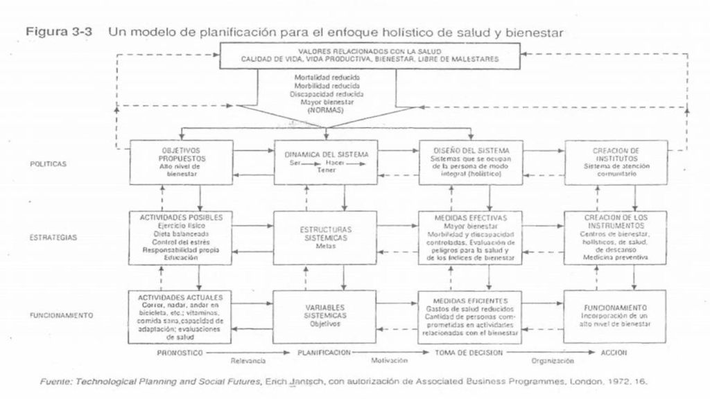 En contraste la figura 3-3, basada en el marco holístico de la salud, muestra que la gente aprecia una alta calidad de vida, la oportunidad de una existencia productiva, el bienestar y la ausencia de enfermedades.