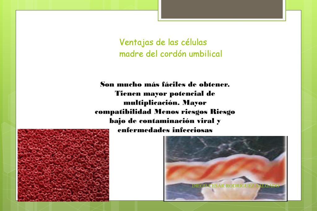 Ventajas de las células madre del cordón umbilical