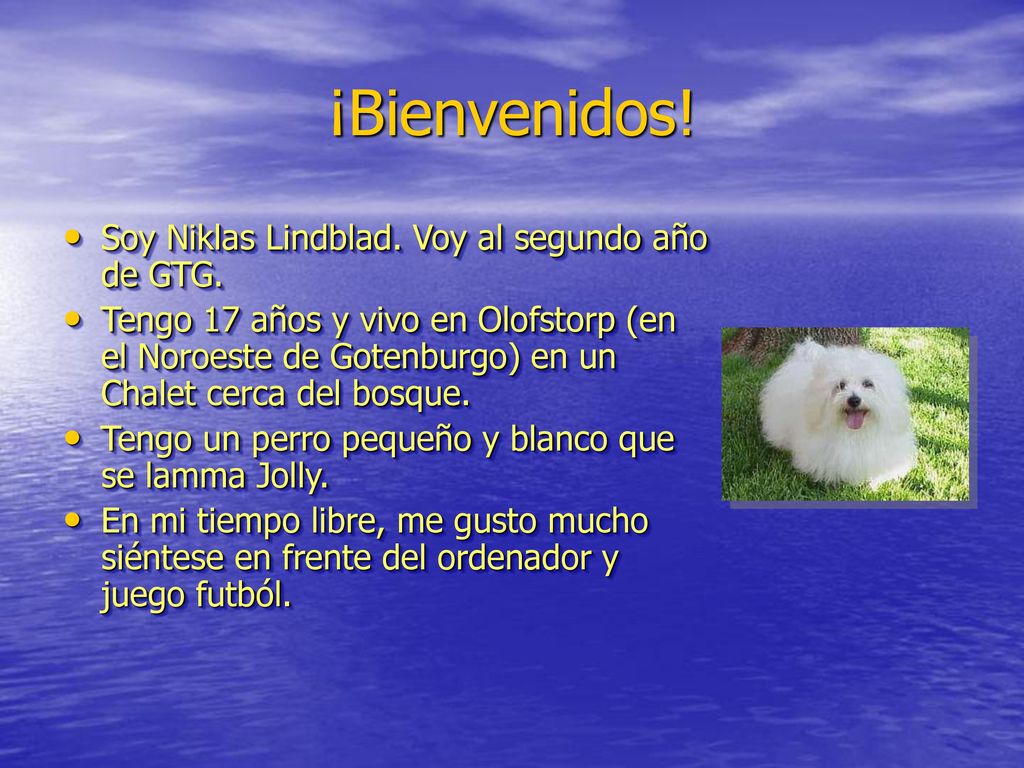 ¡Bienvenidos! Soy Niklas Lindblad. Voy al segundo año de GTG.
