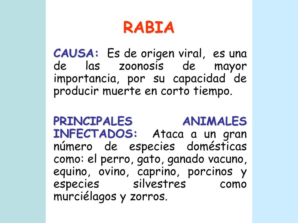 RABIA CAUSA: Es de origen viral, es una de las zoonosis de mayor importancia, por su capacidad de producir muerte en corto tiempo.