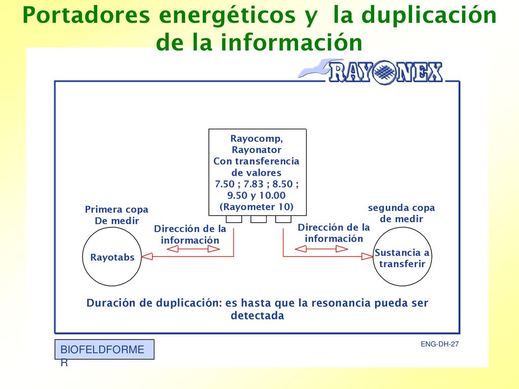 Portadores energéticos y la duplicación de la información