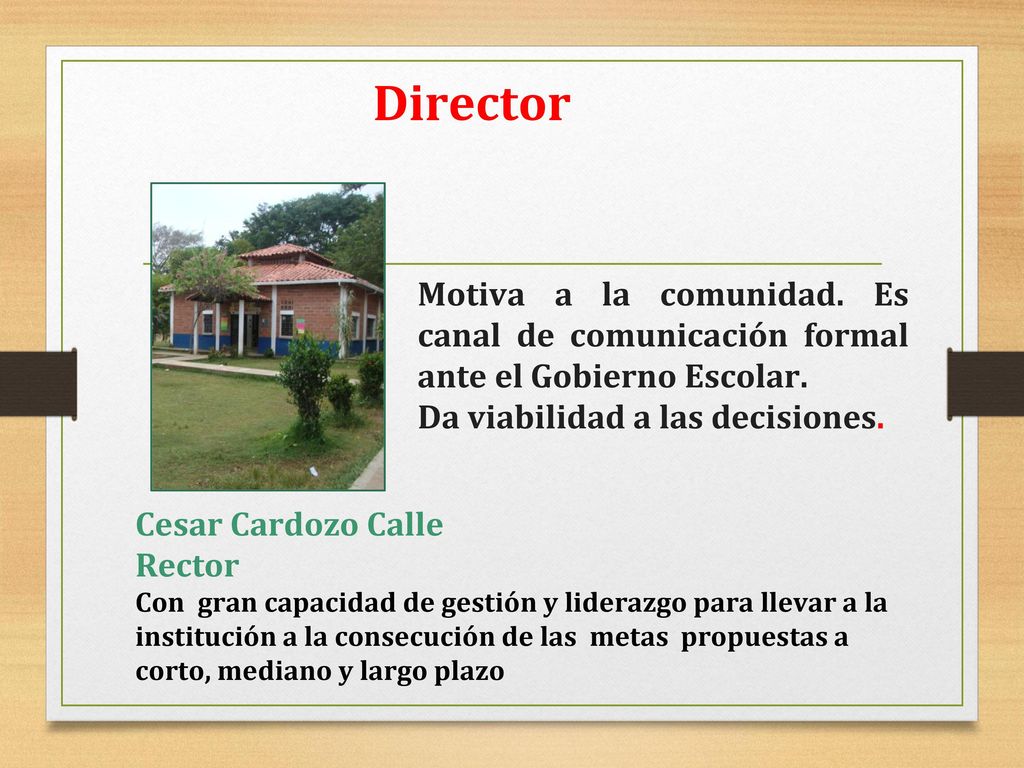 Director Motiva a la comunidad. Es canal de comunicación formal ante el Gobierno Escolar. Da viabilidad a las decisiones.