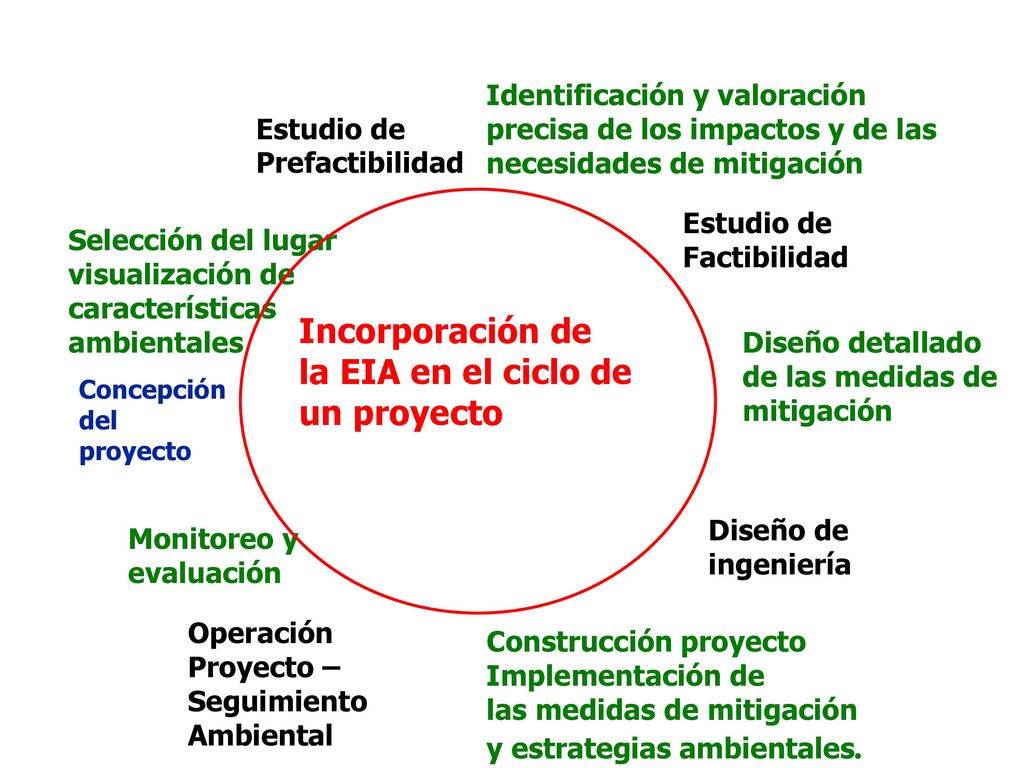 Incorporación de la EIA en el ciclo de un proyecto