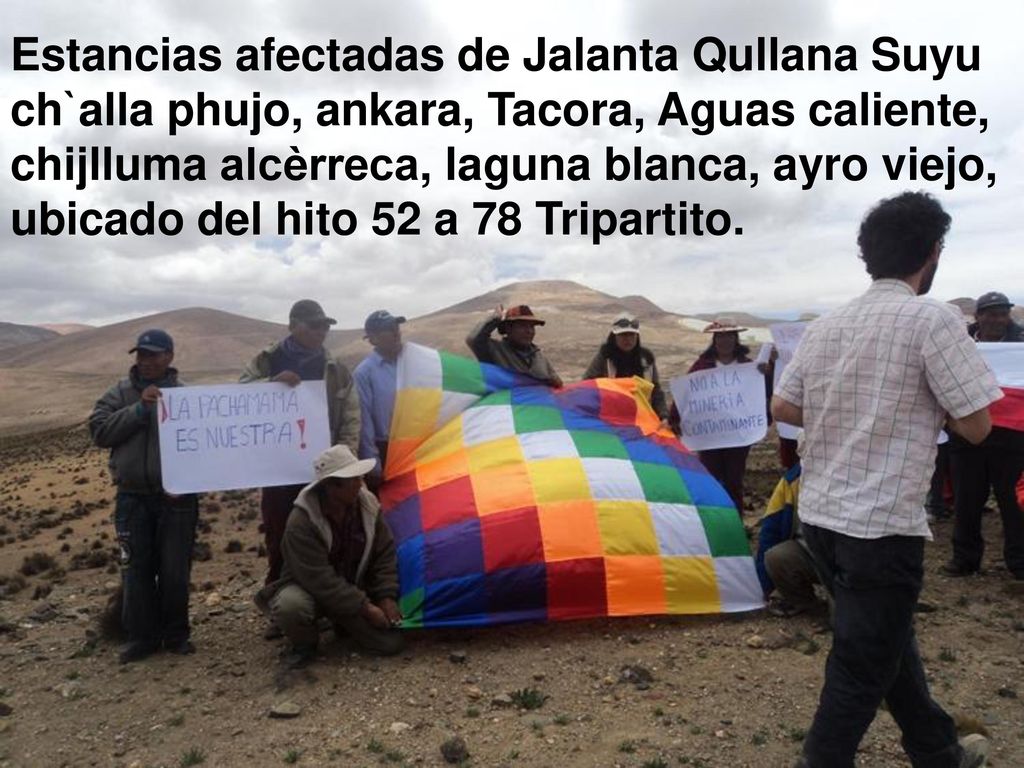 Estancias afectadas de Jalanta Qullana Suyu ch`alla phujo, ankara, Tacora, Aguas caliente, chijlluma alcèrreca, laguna blanca, ayro viejo, ubicado del hito 52 a 78 Tripartito.