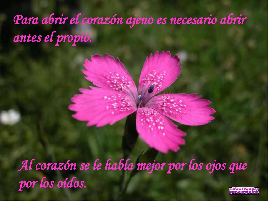 Para abrir el corazón ajeno es necesario abrir antes el propio.