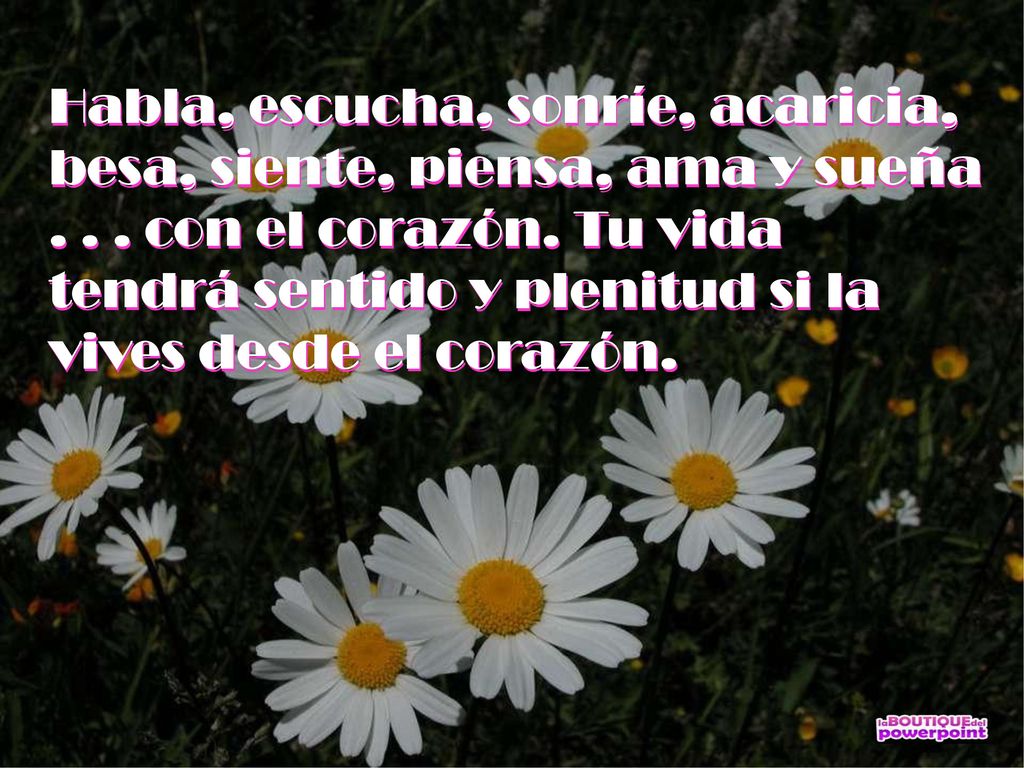 Habla, escucha, sonríe, acaricia, besa, siente, piensa, ama y sueña